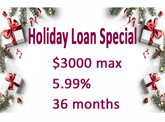 holiday_loan